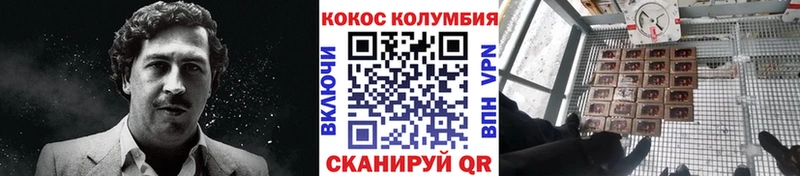 Кокаин 99%  Купить  Сунжа 