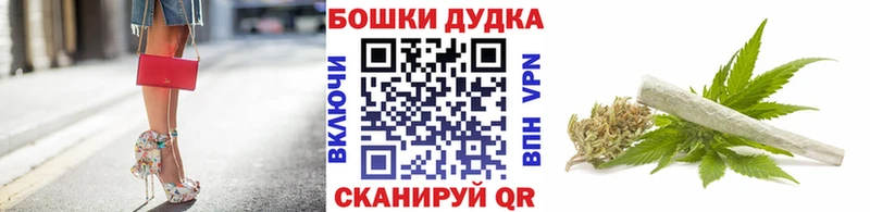 Купить где  Сунжа  Каннабис гибрид 